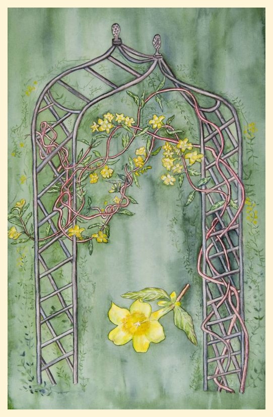 Carolina Jessamine on Trellis